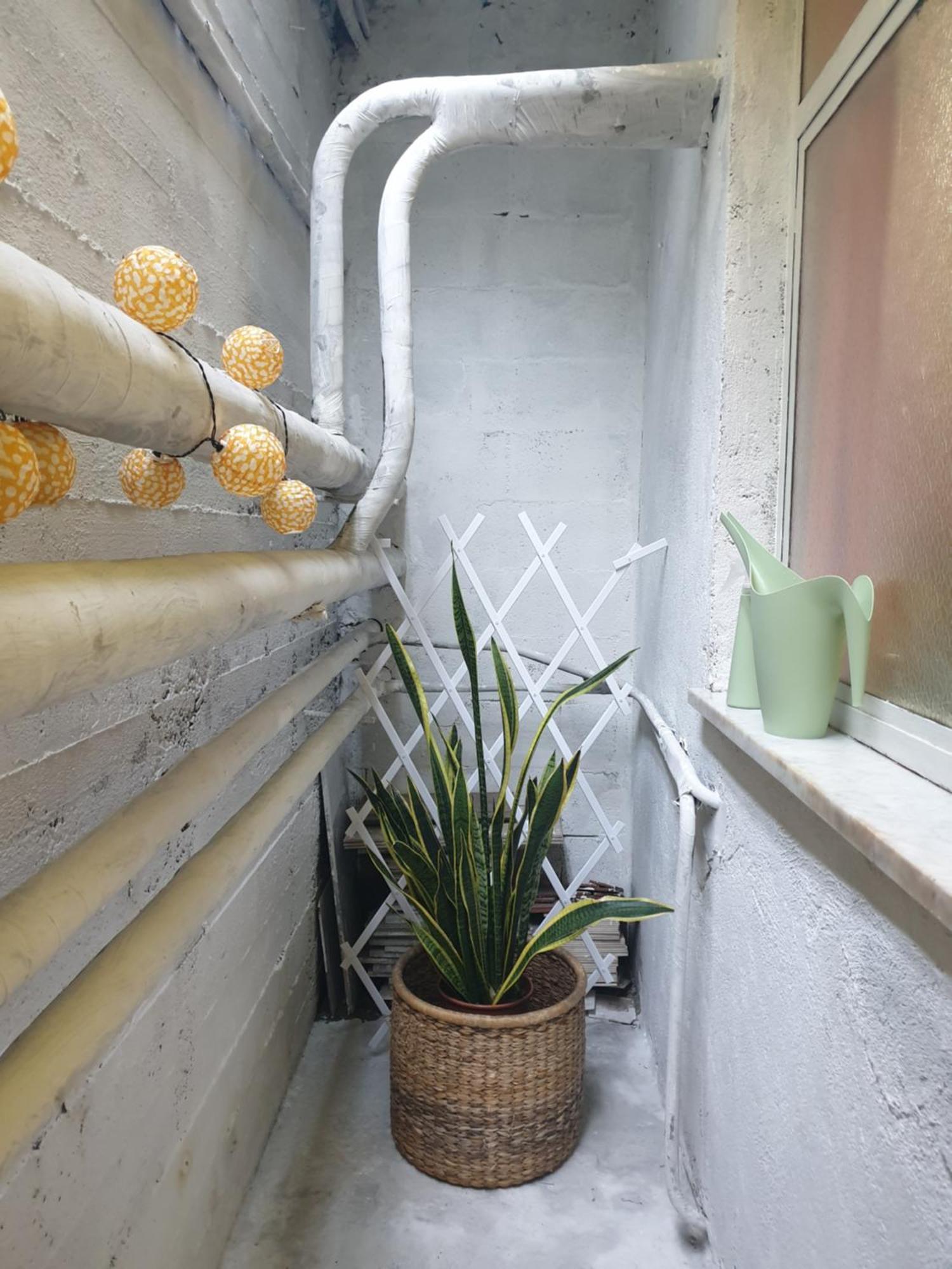 Apartamento Laya Valentina