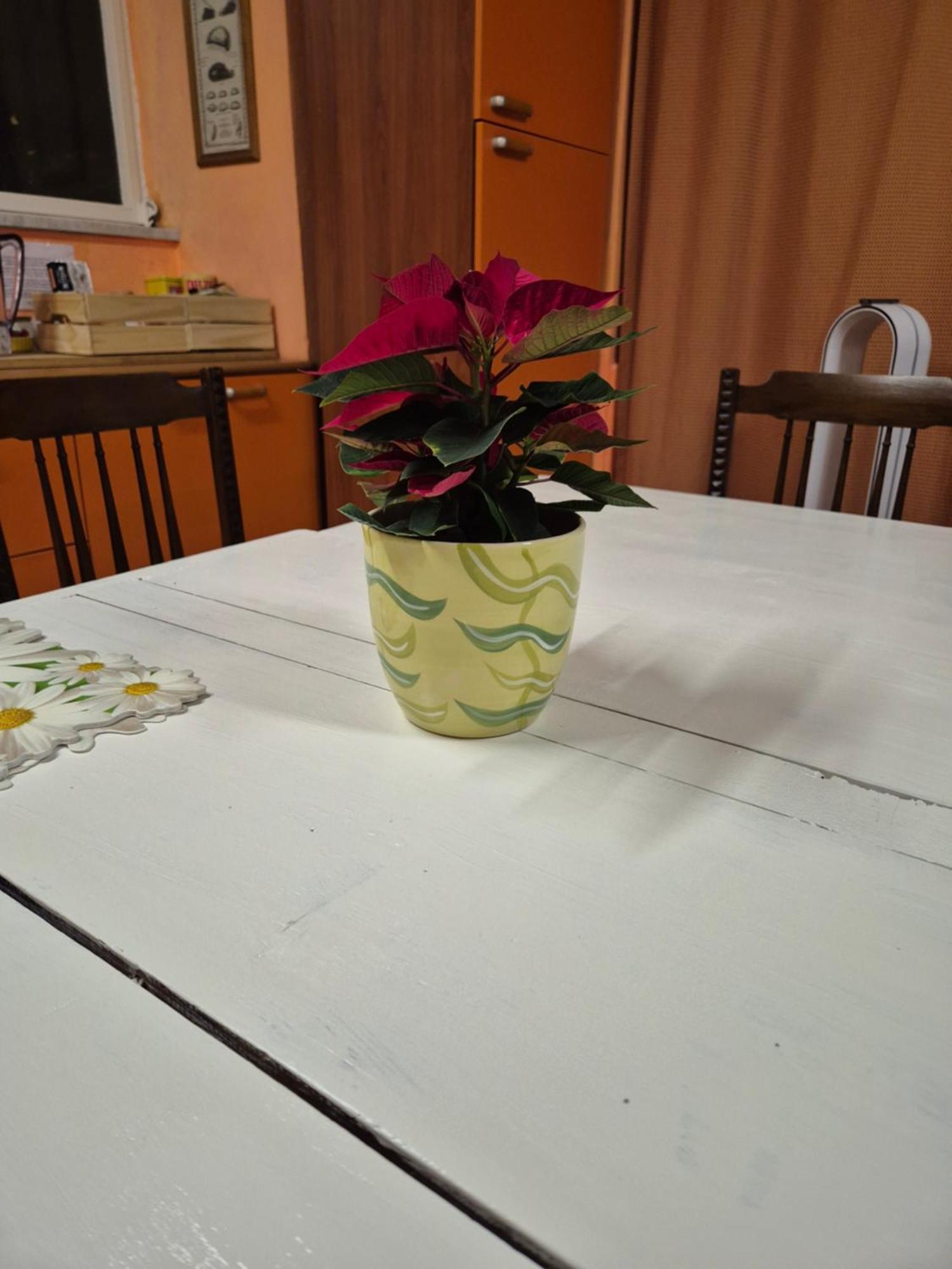 Apartamento Laya Valentina